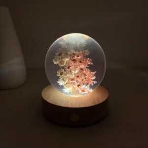 Dried Daisy Flower Crystal Ball Lamp