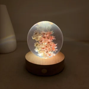 Dried Daisy Flower Crystal Ball Lamp