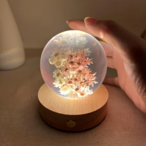 Dried Daisy Flower Crystal Ball Lamp