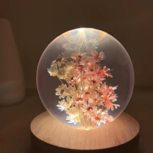 Dried Daisy Flower Crystal Ball Lamp