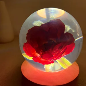 Eternal Rose Crystal Ball Night Light