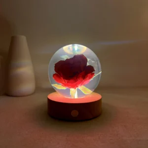 Eternal Rose Crystal Ball Night Light