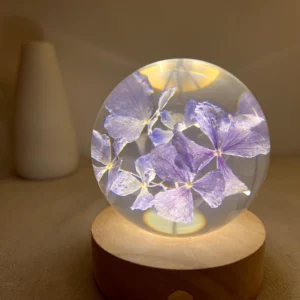 Preserved Hydrangea Floral Crystal Night Light