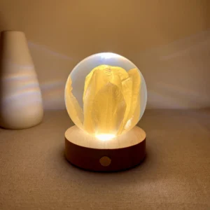 Spherical Dried Yellow Tulip Resin Night Light