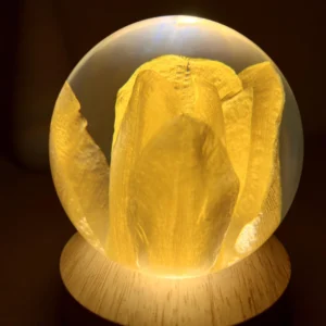 Spherical Dried Yellow Tulip Resin Night Light