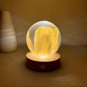 Spherical Dried Yellow Tulip Resin Night Light