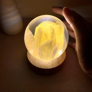 Spherical Dried Yellow Tulip Resin Night Light