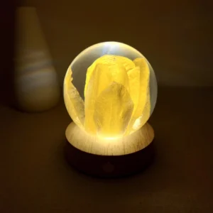 Spherical Dried Yellow Tulip Resin Night Light