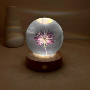Star Celery Flower Crystal Ball Night Light