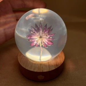 Star Celery Flower Crystal Ball Night Light