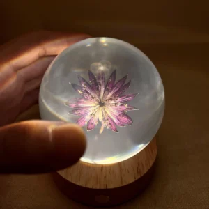 Star Celery Flower Crystal Ball Night Light