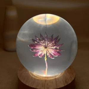 Star Celery Flower Crystal Ball Night Light