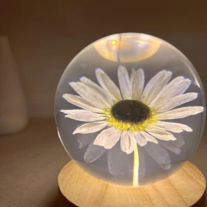 White Daisy Crystal Ball Night Lamp