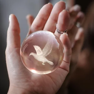 3D Bird Crystal Ball Sphere Bedside Lamp
