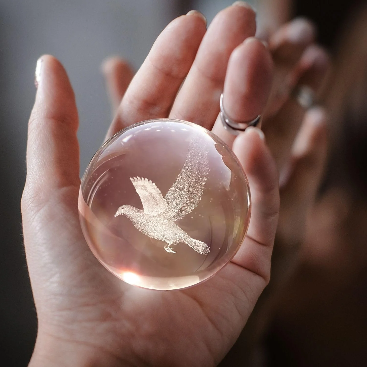 3D Bird Crystal Ball Sphere Bedside Lamp 3D Bird Crystal Ball Sphere Bedside Lamp