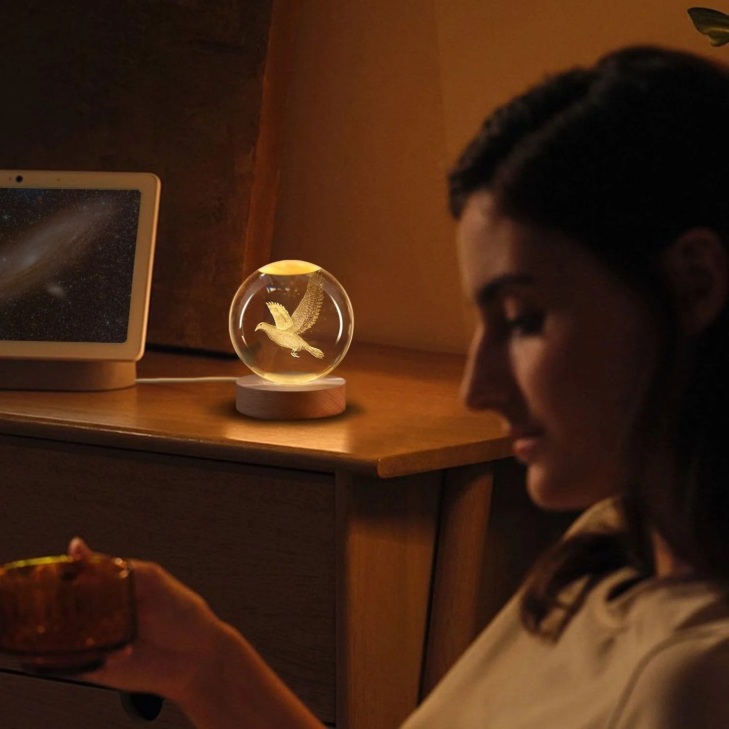 3D Bird Crystal Ball Sphere Bedside Lamp 3D Bird Crystal Ball Sphere Bedside Lamp