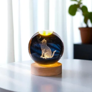 3D Cat Chasing Moon Crystal Globe Night Light