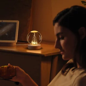 3D Christmas Tree Crystal Sphere Nightlight