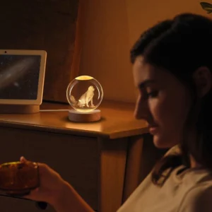 3D Dog Crystal Ball Sphere Night Lamp Gift