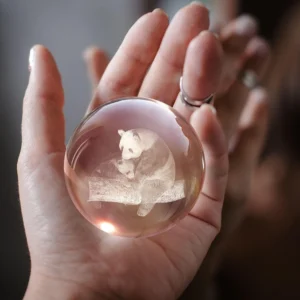 3D Panda Crystal Ball Sphere Bedside Lamp