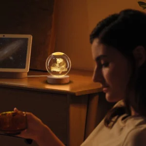 3D Panda Crystal Ball Sphere Bedside Lamp