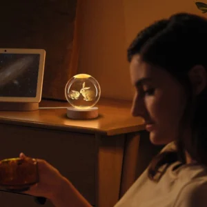 3D Rabbit Crystal Ball Sphere Bedside Lamp