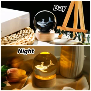 3D Whale Girl Crystal Night Light