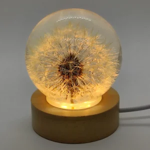 Botanical Crystal Sphere Dandelion Night Light