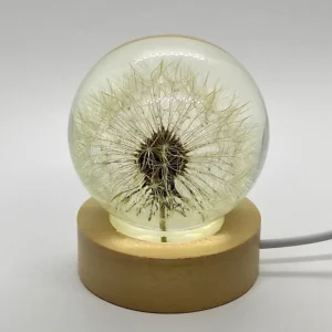 Botanical Crystal Sphere Dandelion Night Light