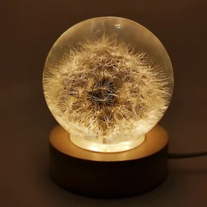 Botanical Crystal Sphere Dandelion Night Light