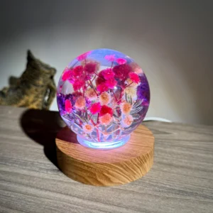 Crystal Ball Night Lamp with Dried Flowers