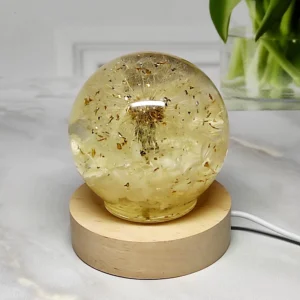 Dandelion Crystal Sphere Night Light Decor