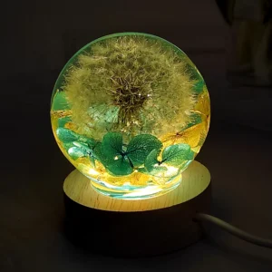 Dried Dandelion And Hydrangea Flowers Night Light