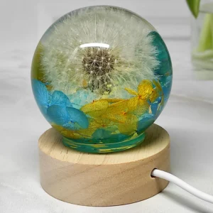 Dried Dandelion And Hydrangea Flowers Night Light