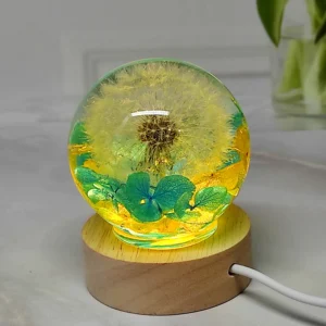 Dried Dandelion And Hydrangea Flowers Night Light